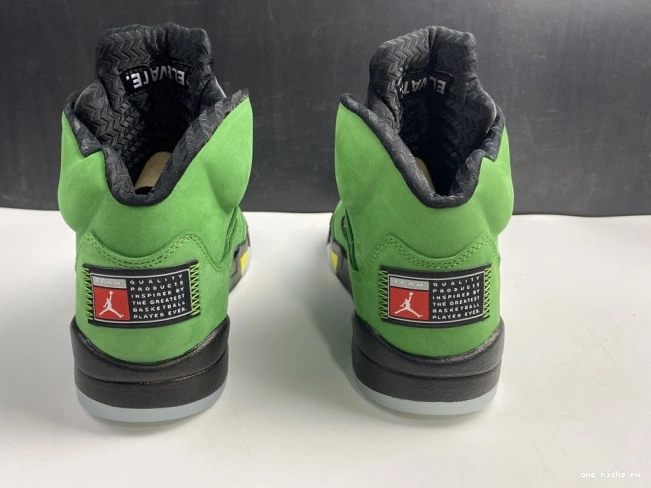 Rep Air Ducks 5 CK6631-307 Jordan SE Oregon 0814